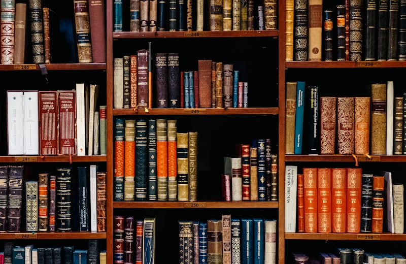 Students reading in a university library